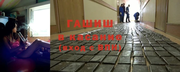 стаф Белокуриха