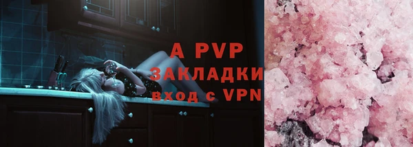 стаф Белокуриха
