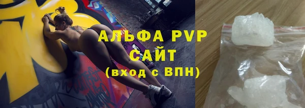 стаф Белокуриха