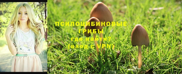 круглые Беломорск