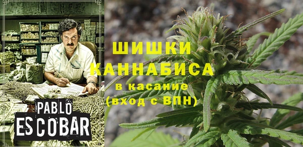 стаф Белокуриха